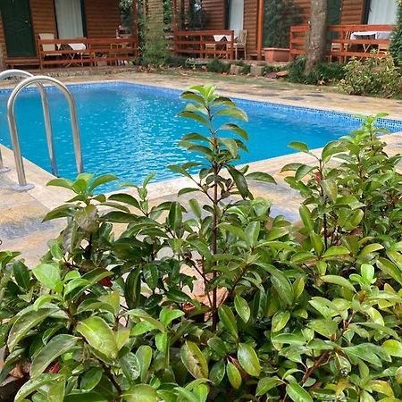 Tatil Keyfi Motel Коджаели Екстериор снимка